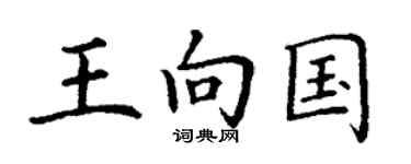 丁謙王向國楷書個性簽名怎么寫
