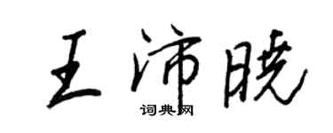 王正良王沛曉行書個性簽名怎么寫