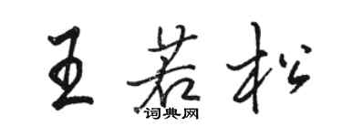 駱恆光王若松行書個性簽名怎么寫