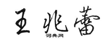 駱恆光王兆蕾行書個性簽名怎么寫