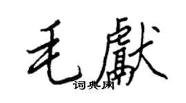 王正良毛獻行書個性簽名怎么寫