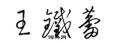 駱恆光王鐵蕾草書個性簽名怎么寫