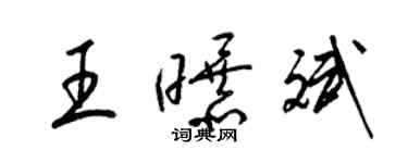 梁錦英王曝斌草書個性簽名怎么寫