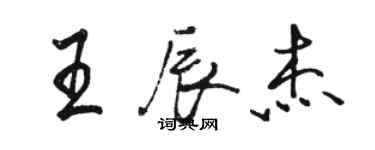 駱恆光王辰傑行書個性簽名怎么寫