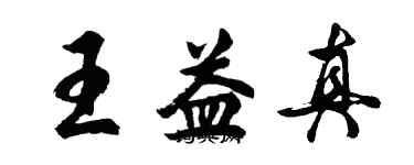 胡問遂王益真行書個性簽名怎么寫