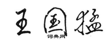 駱恆光王國猛行書個性簽名怎么寫