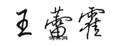 駱恆光王蕾霍行書個性簽名怎么寫