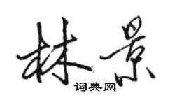 駱恆光林景行書個性簽名怎么寫