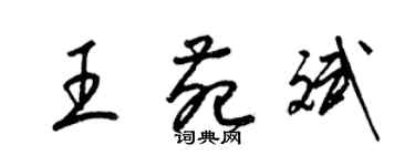 梁錦英王苑斌草書個性簽名怎么寫