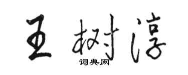 駱恆光王樹淳行書個性簽名怎么寫