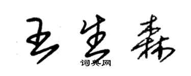朱錫榮王生森草書個性簽名怎么寫