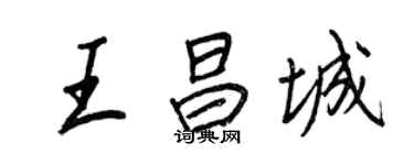 王正良王昌城行書個性簽名怎么寫