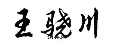 胡問遂王驍川行書個性簽名怎么寫