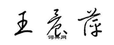 梁錦英王晨萍草書個性簽名怎么寫