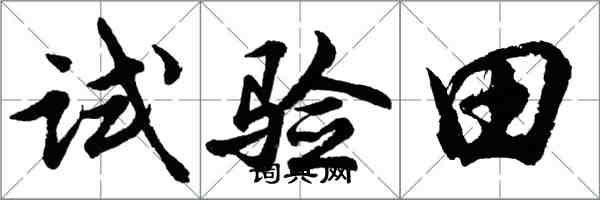 胡問遂試驗田行書怎么寫