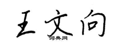 王正良王文向行書個性簽名怎么寫