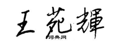 王正良王苑輝行書個性簽名怎么寫