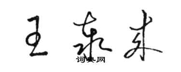 駱恆光王泰來草書個性簽名怎么寫