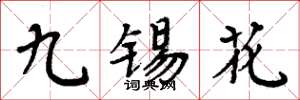 周炳元九錫花楷書怎么寫