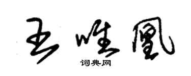 朱錫榮王唯凰草書個性簽名怎么寫