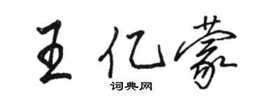 駱恆光王億蒙行書個性簽名怎么寫