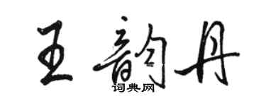 駱恆光王韻丹行書個性簽名怎么寫