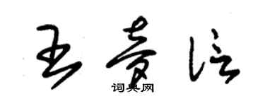 朱錫榮王夢信草書個性簽名怎么寫