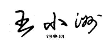 朱錫榮王小洲草書個性簽名怎么寫