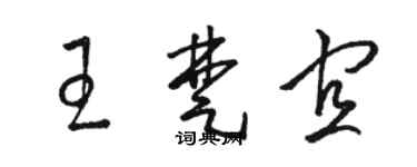 駱恆光王楚宜草書個性簽名怎么寫