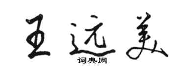 駱恆光王遠美行書個性簽名怎么寫