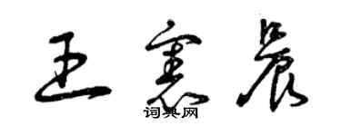 曾慶福王憲晨草書個性簽名怎么寫