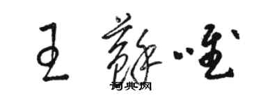 駱恆光王蘇唯草書個性簽名怎么寫