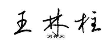 梁錦英王林柱草書個性簽名怎么寫