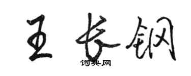 駱恆光王長鋼行書個性簽名怎么寫