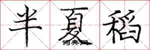 龐中華半夏稻楷書怎么寫