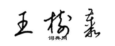 梁錦英王樹叢草書個性簽名怎么寫