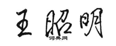 駱恆光王昭明行書個性簽名怎么寫