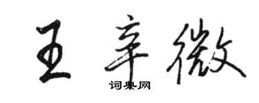 駱恆光王辛微行書個性簽名怎么寫