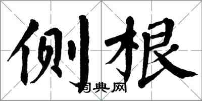 翁闓運側根楷書怎么寫