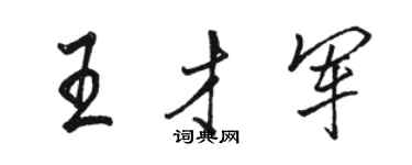 駱恆光王才軍行書個性簽名怎么寫