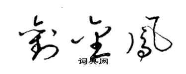 梁錦英劉金鳳草書個性簽名怎么寫