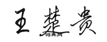 駱恆光王楚貴行書個性簽名怎么寫