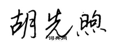 王正良胡先煦行書個性簽名怎么寫