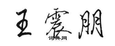 駱恆光王震朋行書個性簽名怎么寫