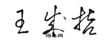 駱恆光王成哲草書個性簽名怎么寫