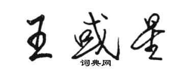駱恆光王或星行書個性簽名怎么寫