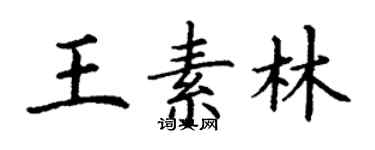 丁謙王素林楷書個性簽名怎么寫