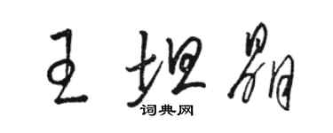 駱恆光王坦晶草書個性簽名怎么寫