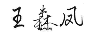 駱恆光王森鳳行書個性簽名怎么寫