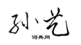 駱恆光孫藝行書個性簽名怎么寫
